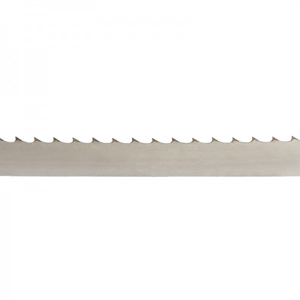 Cinta Banda p/Sierra Calibre 25 CBS25-3058906 PROTEK