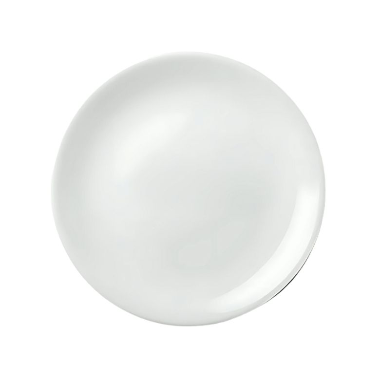 Plato de Melamina Liso Premium Blanco 20 x 1.6 cm MCPLMRP20 BONNE