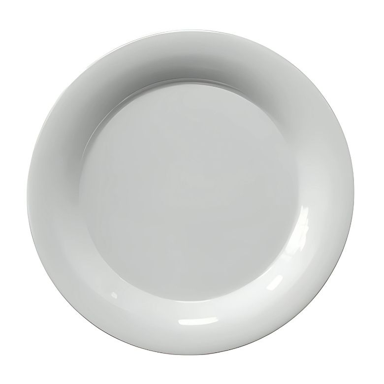 Plato de Melamina Rim Liso Premium Blanco 20.2 x 1.9 cm MCPLMRRP20 BONNE