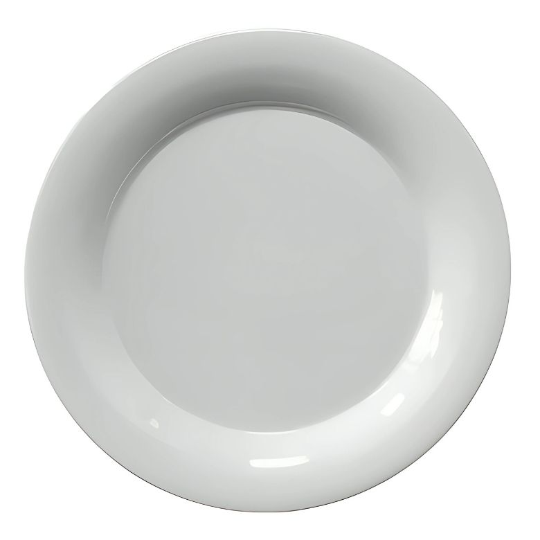 Plato de Melamina Rim Liso Premium Blanco 22.8 x 1.8 cm MCPLMRRP23 BONNE